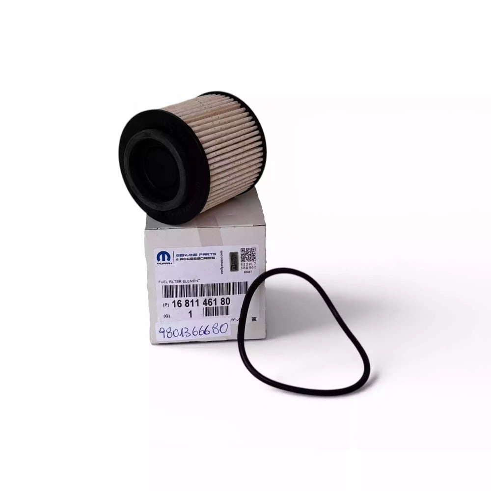 Filtro petróleo Peugeot DV6/DW10