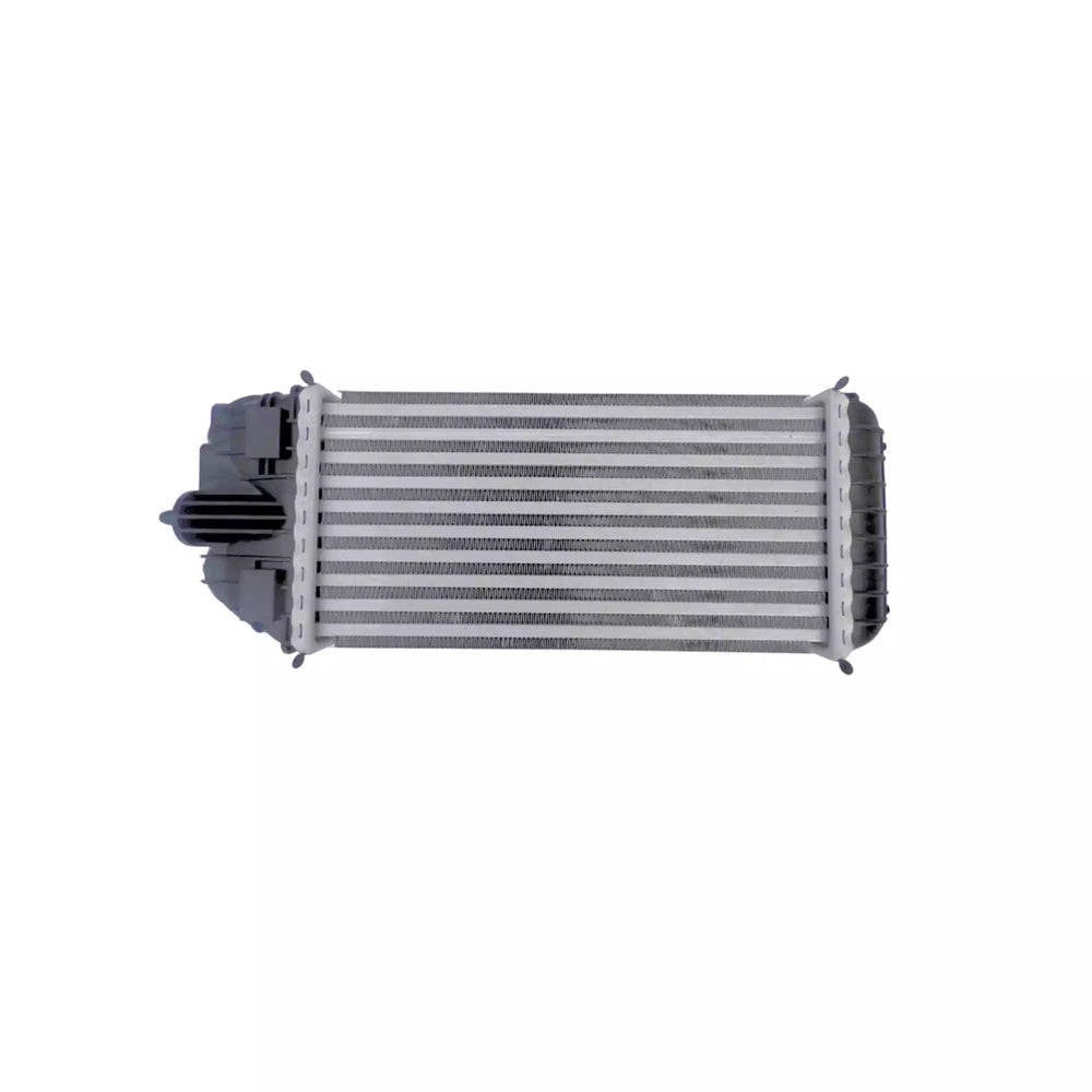 Intercooler 301, C-Elysée. DV6.